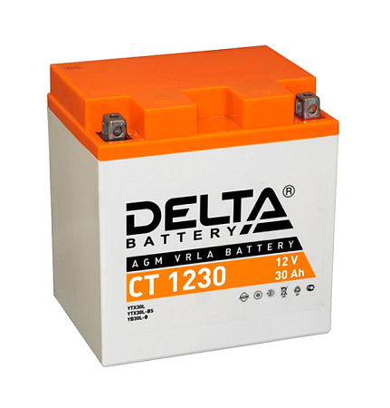 Delta 30Ач 300А (CT1230) YIX30L (168х126х175) AGM